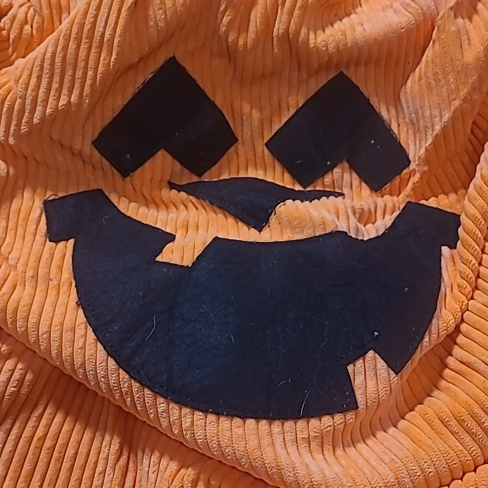 DOG HALLOWEEN BOOTIQUE PUMPKIN COSTUME